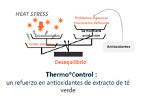 Estrategias naturales para reducir el efecto de estrés por calor en cerdos g7