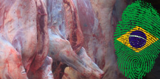 La UGRCh exige al Gobierno Federal, detener la importación de carne de Brasil a México