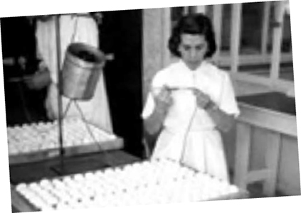 Las primeras mujeres médicas veterinarias zootecnistas mexicanas primeras mujeres medicas veterinarias zootecnistas