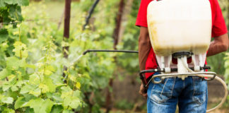 La prohibición de plaguicidas no pone en peligro la producción agrícola