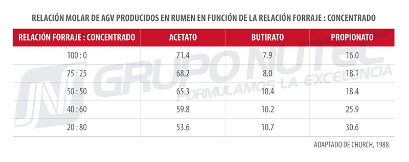 Metabolismo de carbohidratos en los rumiantes relacion molar
