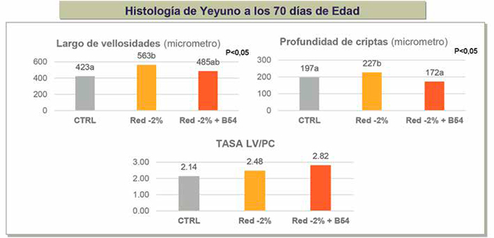 Butylin 54 y su impacto intestinal en lechones postdestete con dieta reducida Butylin 54 impacto intestinal lechones postdestete dieta reducida2