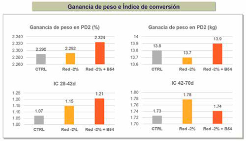 Butylin 54 y su impacto intestinal en lechones postdestete con dieta reducida Butylin 54 impacto intestinal lechones postdestete dieta reducida4