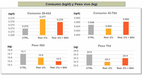 Butylin 54 y su impacto intestinal en lechones postdestete con dieta reducida Butylin 54 impacto intestinal lechones postdestete dieta reducida5