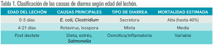 Control de problemas digestivos causantes de diarreas en lechones Control problemas digestivos causantes diarreas lechones3