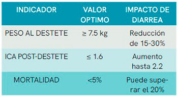 Control de problemas digestivos causantes de diarreas en lechones Control problemas digestivos causantes diarreas lechones6