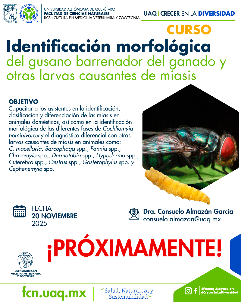 UAQ | Crecer en la diversidad Curso Gusano Barrena
