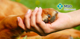 La salud del medio ambiente y las personas también depende de la de los animales
