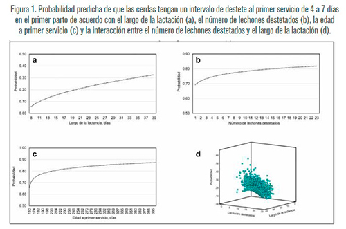Intervalo de destete al primer servicio óptimo en cerdas primíparas Intervalo destete primer servicio optimo cerdas primiparas 3