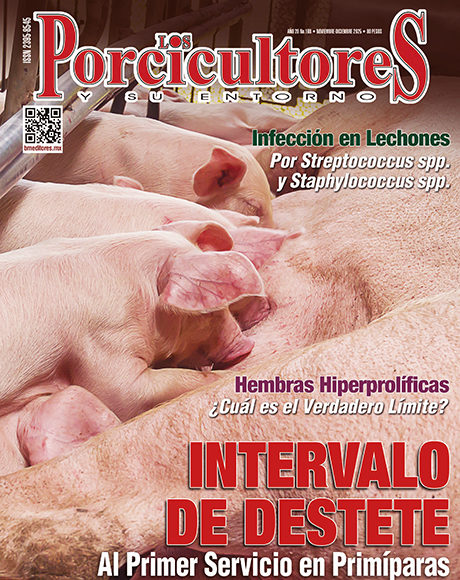 Revistas LP 6 NOV DIC 25 1