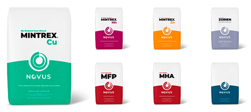 NOVUS Presenta Nuevos Logotipos para Mejorar la Cohesión y Visibilidad de la Marca NOVUS Presenta Nuevos Logotipos Mejorar Cohesion Visibilidad Marca