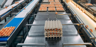 Producción y consumo de huevo en los Estados Unidos.