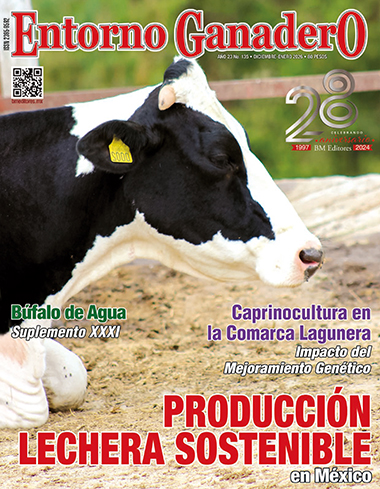 Revistas EG 6 DIC ENE 26 1