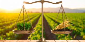 Exige USDA a California abandone propuesta de redistribución de tierra
