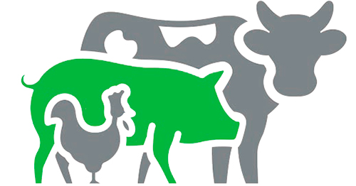 Innovación en aislamiento Insufoam Insufoam2