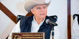 OPORMEX y CNOG solicitan limitar importaciones de carne de Brasil