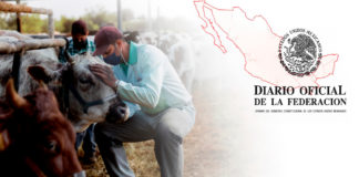 Publica el DOF la ampliación de facultades del Dinesa
