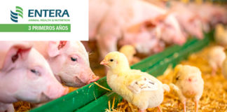 Distribuidores felicitan a Entera Salud Animal y Nutrición por su 3er Aniversario en México