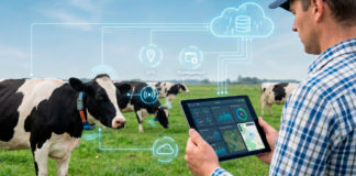 Se utiliza tecnología para eficientar la actividad pecuaria