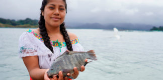 Conapesca cierra 2025 con resultados positivos en pesca sostenible
