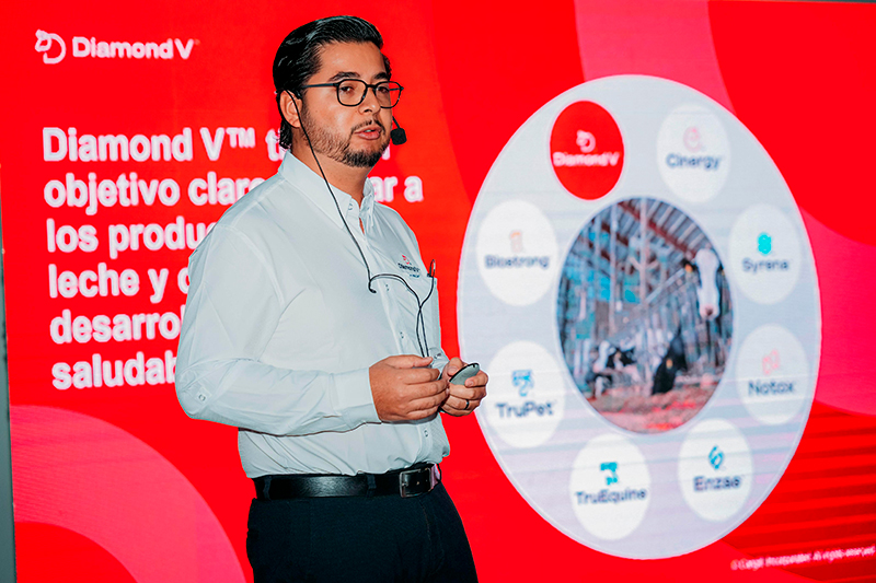 Cargill lleva la ciencia de la micronutrición al corazón del sector lechero Diamond V principal 2