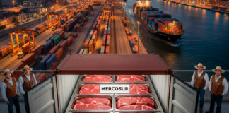 Firma histórica: La UE y el Mercosur sellan la mayor zona de libre comercio del mundo como respuesta a la política arancelaria de Trump