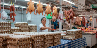Garantizan abasto de pollo y huevo en corredor de Tehuacán-Tecamachalco