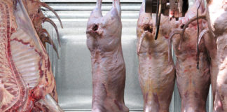 La IP advierten alza en carne por cupos de importación