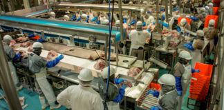Industrias ganadera y porcina respaldan medidas para proteger la producción nacional