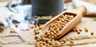 NOVUS Publica Datos Globales sobre la Soya