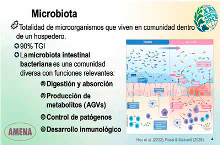 Salud intestinal y su impacto en la inmunidad y patologías porcinas Salud intestinal impacto inmunidad patologias porcinas2