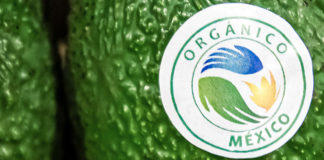 Se mantuvo fuerte la producción de alimentos orgánicos durante 2025