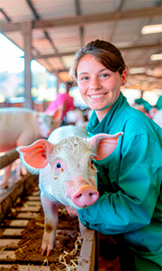BEYOND FARMGUARDIAN, participación en la porcicultura mediante su tecnología de punta soberana alimentaria permitir acabar pobreza rural Berdegue1