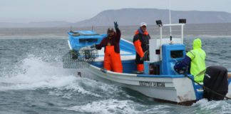 En febrero inició periodo de veda para siete especies marinas en 10 estados de la República