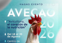 Revistas AVECADO 2026