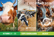 Eventos FIGAP EG FEB 26