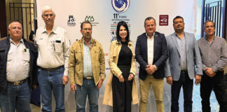 Femeleche pide destinar 2 mmdp anuales al sector