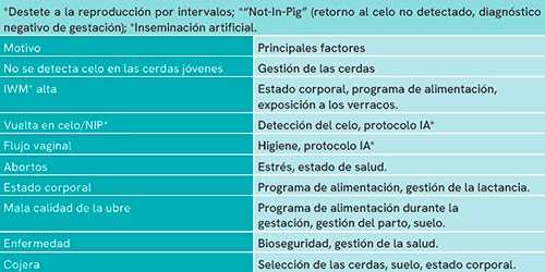 Maximizar la vida productiva de las cerdas para una producción porcina sostenible. Maximizar vida productiva cerdas produccion porcina sostenible 3