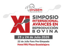 Category Template 1 XI SIMPOSIO BLANCO