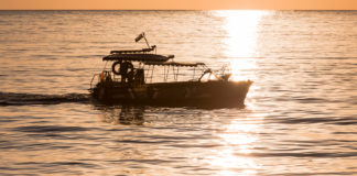 Mero, langosta y almeja generosa: las siete especies que entran en veda mientras México abre las puertas al camarón extranjero