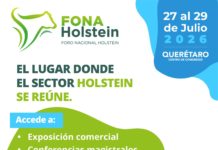 Fona Holstein 2026 Category Template 1 fona holstein
