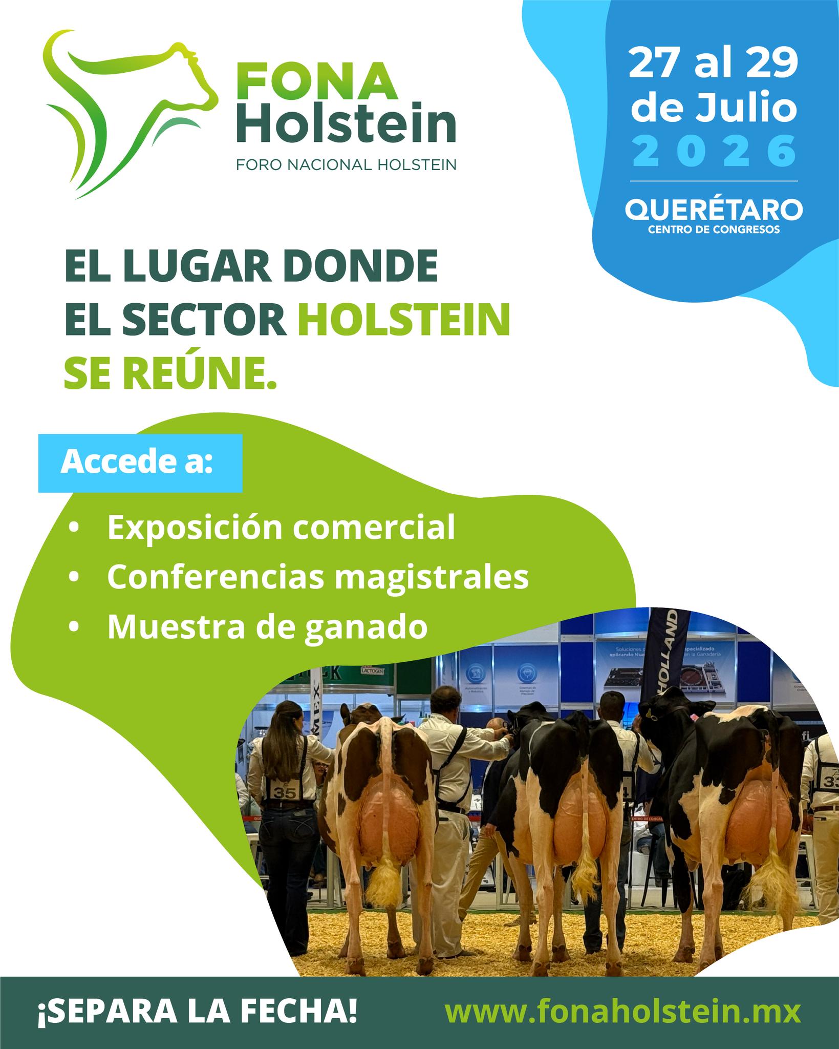 Fona Holstein 2026 fona holstein