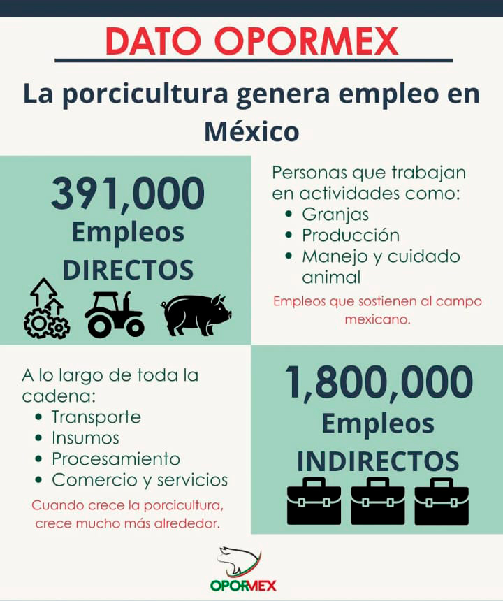La importancia de la Porcicultura como generadora de empleos importancia Porcicultura generadora empleos1