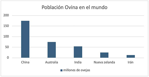 Una visión reciente de la ovinocultura vision reciente ovinocultura1