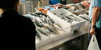 Consejos para evitar el fraude alimenticio en pescados y mariscos
