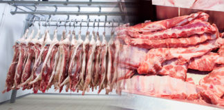 Consumo e importaciones de carne de cerdo en México