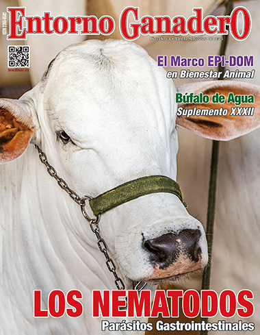 Eventos EG 1 FEB MAR 25 1