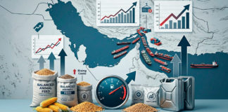 Impacto en el sector agropecuario de la guerra entre Irán y Estados Unidos