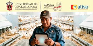 Implementación de inteligencia artificial en sistemas manuales de monitoreo avícola