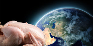 Importaría México 8% más pollo por Mundial